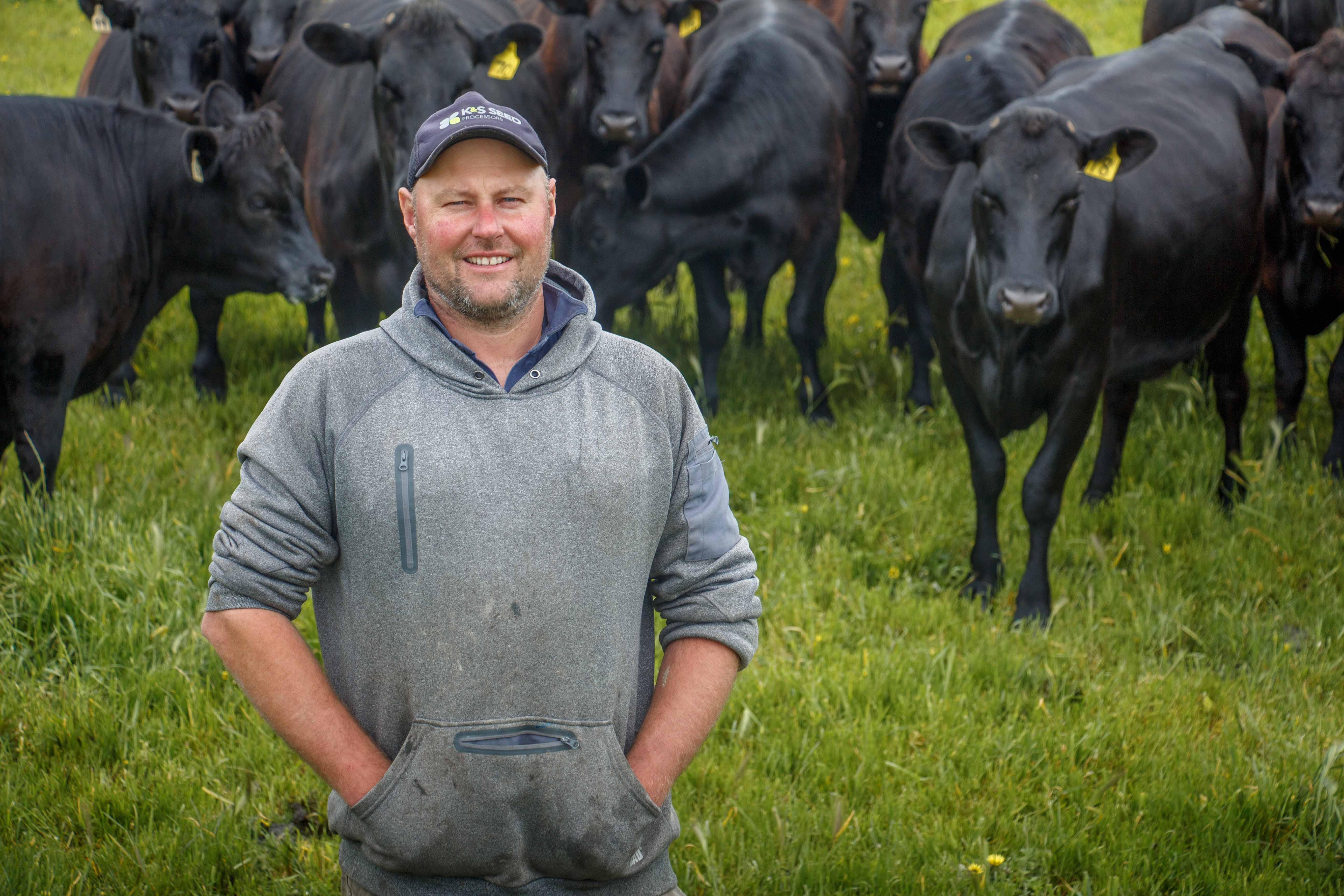 Breeding better cows faster - ABS Global Australia