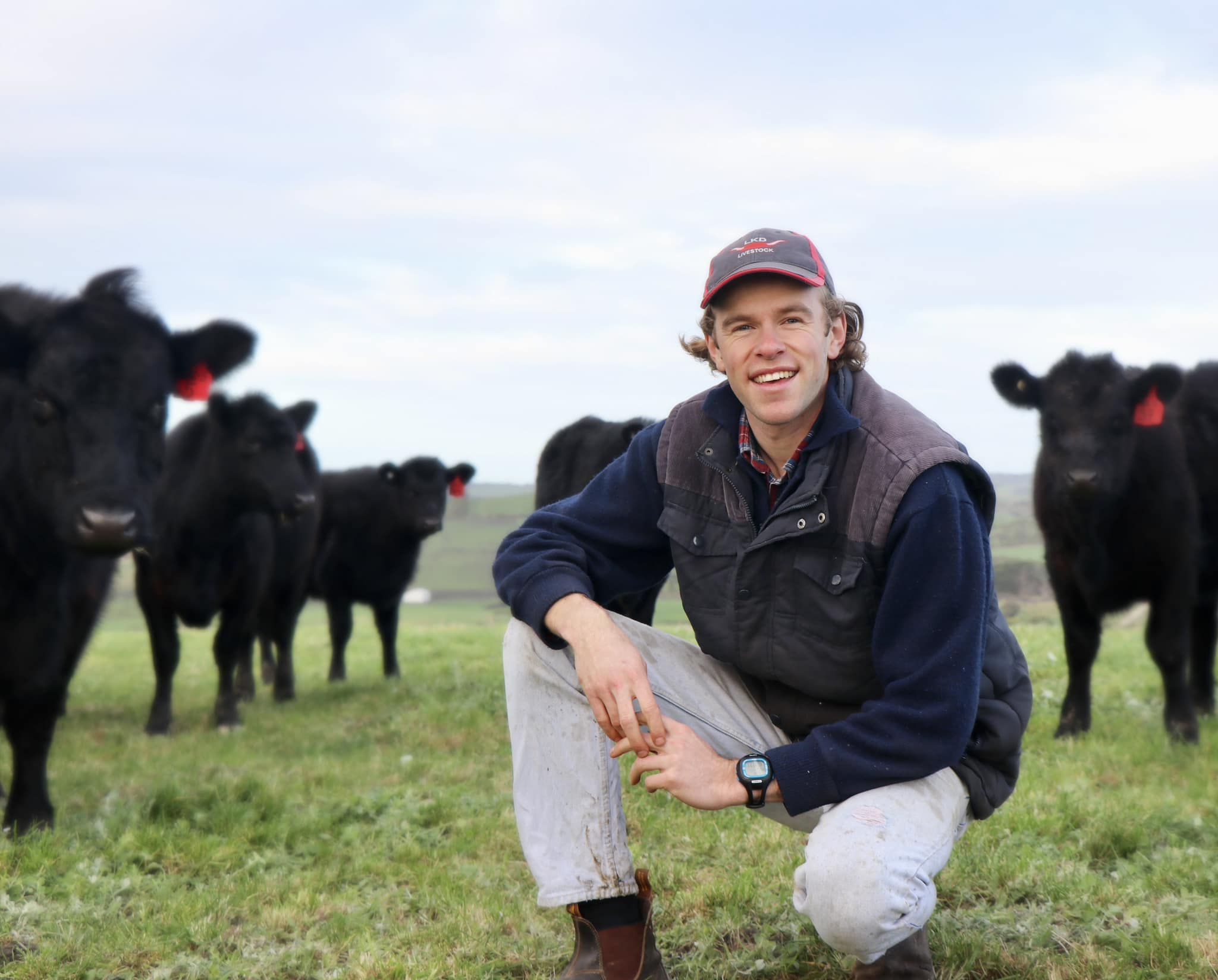 Genetics “meat” the market for new ABS Beef Manager - ABS Global Australia