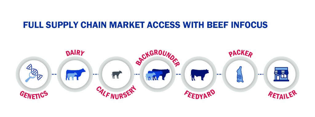 BeefAdvantage_Graphic_MarketAccess (2)