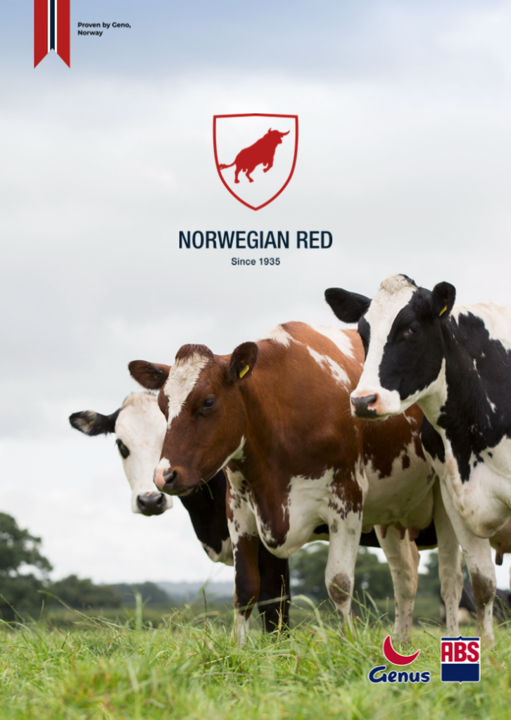 Norwegian Red Brochure