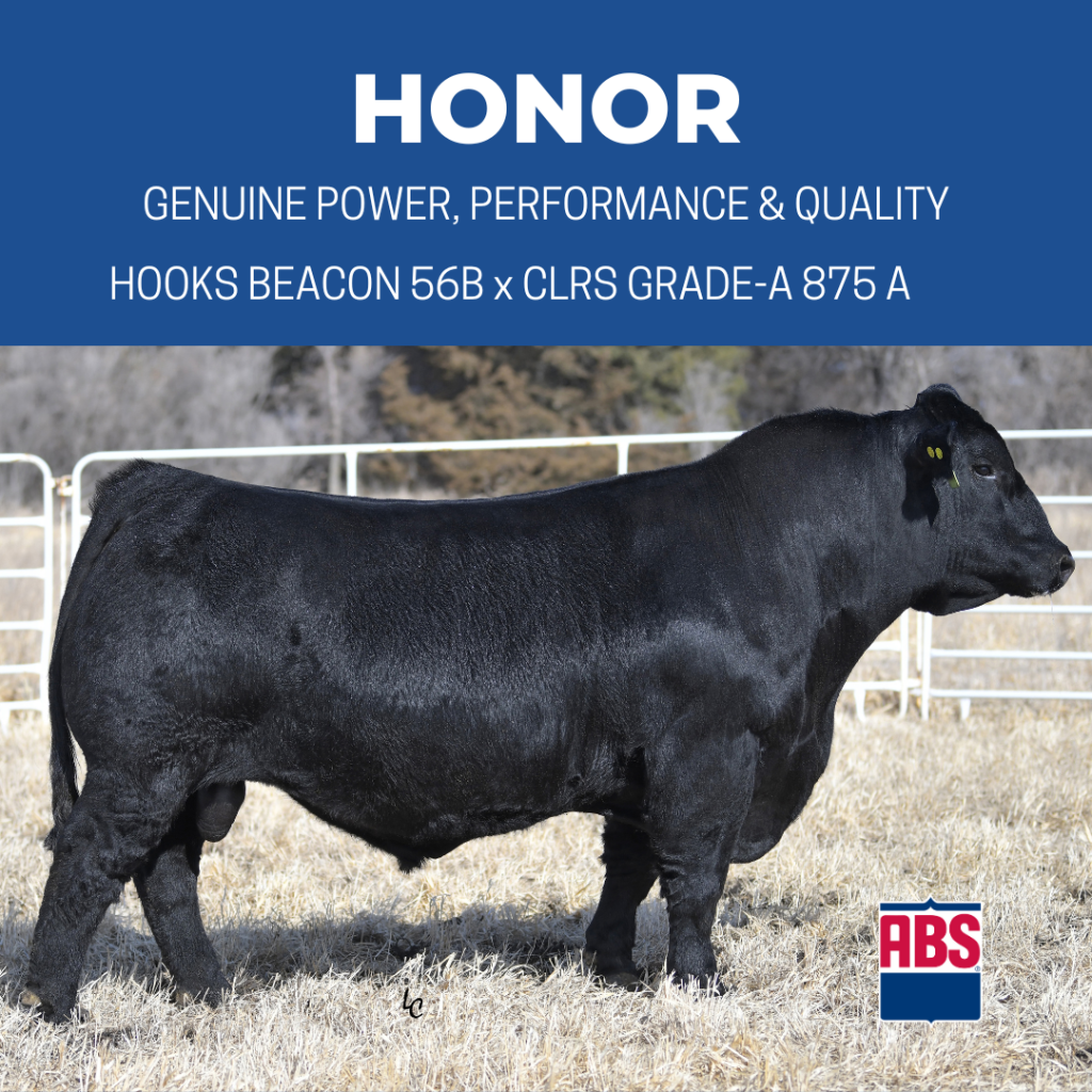 - Sires USA Global Five with these Get Familiar Simmental ABS